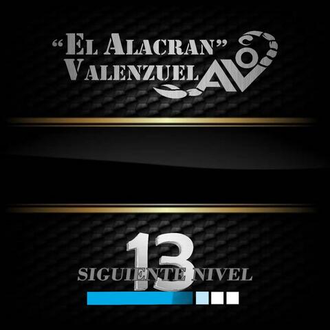 Nivel Avanzado 13