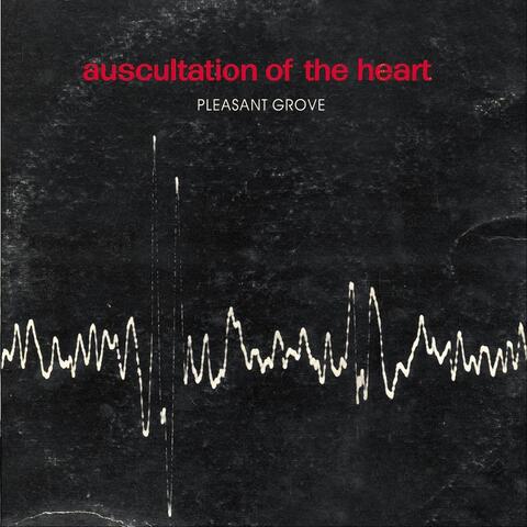 Auscultation of the Heart