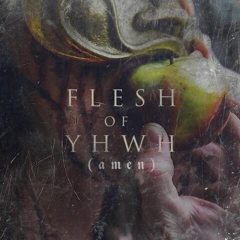 Flesh of Yhwh (Amen)
