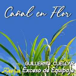 Cañal en Flor