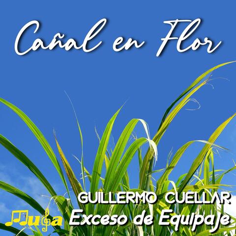 Cañal en Flor