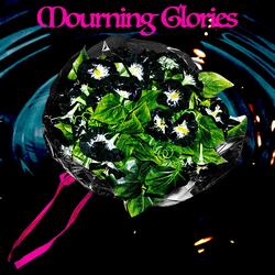 Mourning Glories