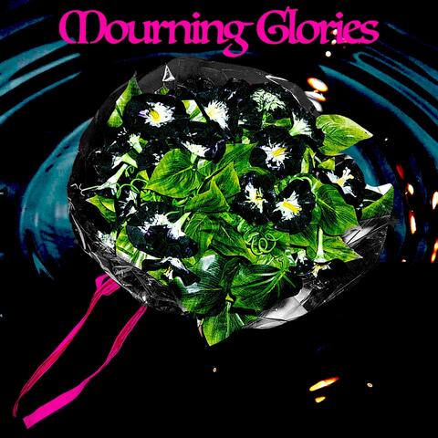 Mourning Glories