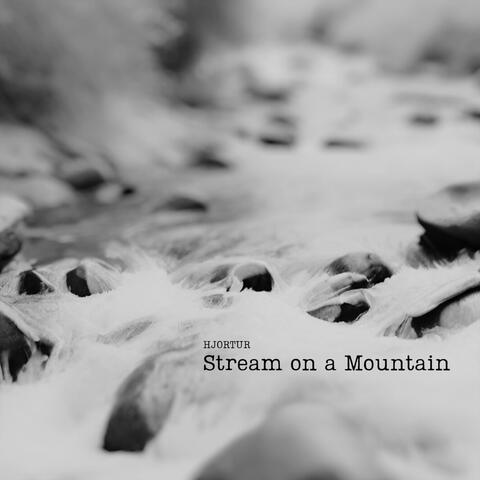 Stream on a Mountain