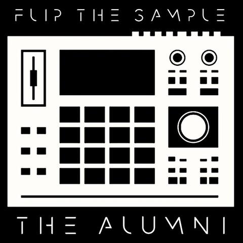 FLIP THE SAMPLE