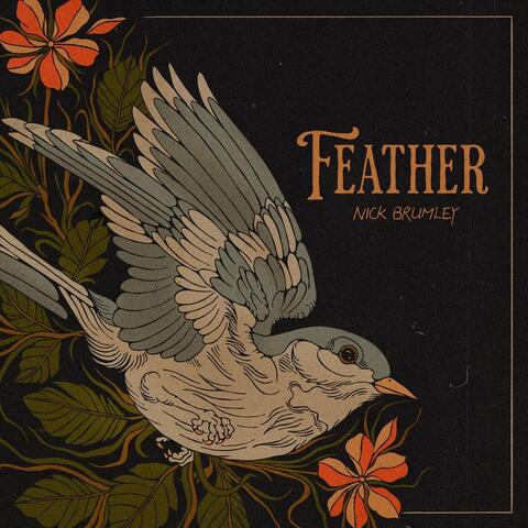 Feather