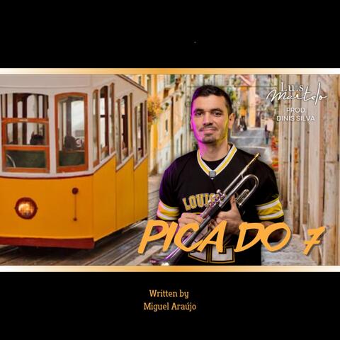 Pica Do 7