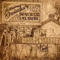 Like You Do (Single)