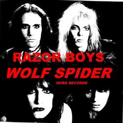 WOLF SPIDER