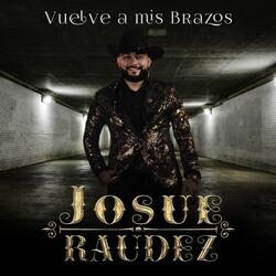 Vuelve a Mis Brazos