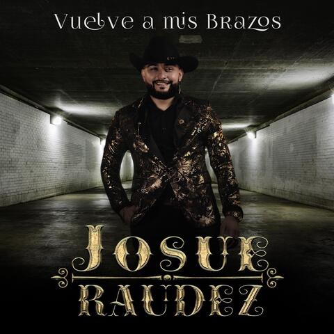 Vuelve a Mis Brazos