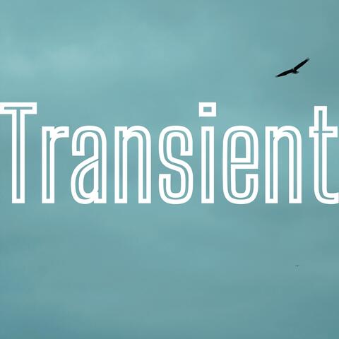 Transient