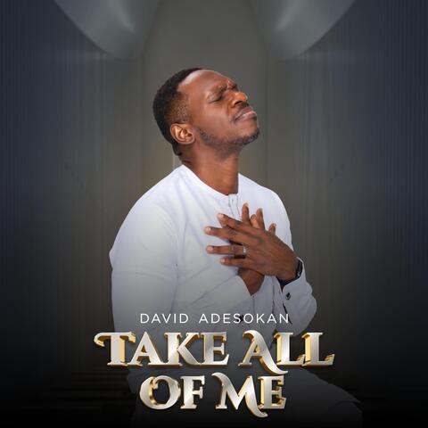 Take All of Me