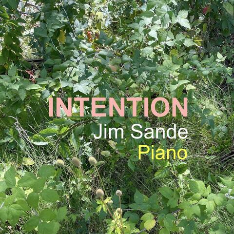 Intention