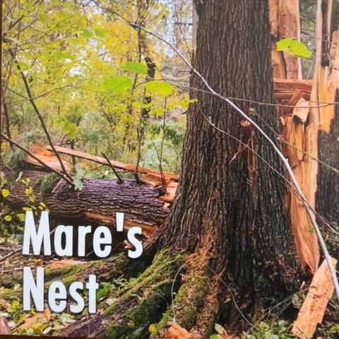 Mare’s Nest