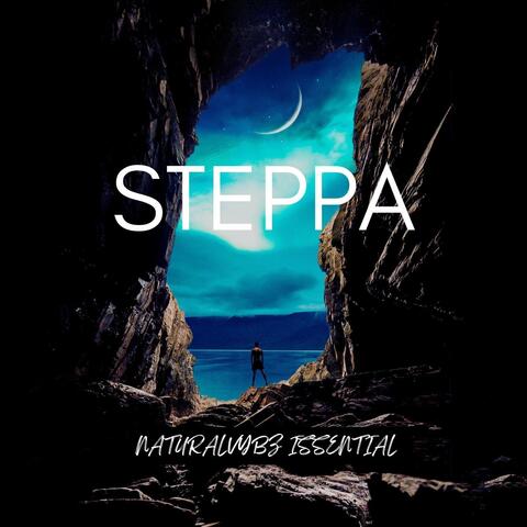 Steppa