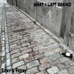 What I Left Behind