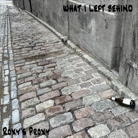 What I Left Behind