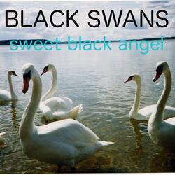 Sweet Black Angel