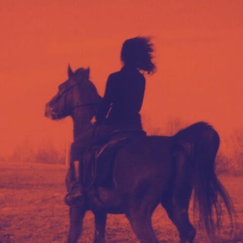 Wild Dreams