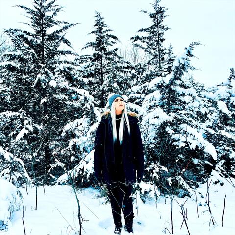 December Walks