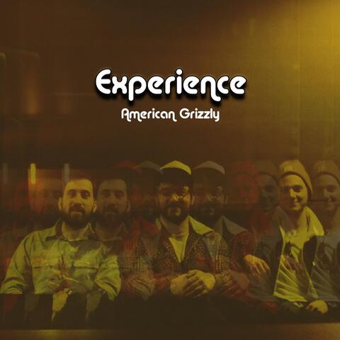 Experience