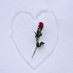 Winter Love