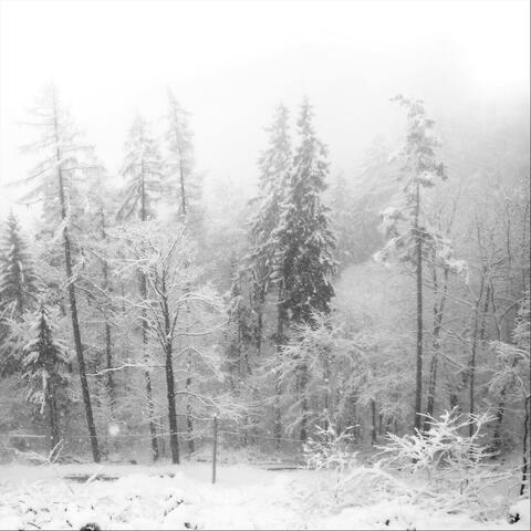 Enthrone in Blizzard