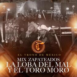 Mix Zapateados La Loba del Mal y el Toro Moro (En Vivo)