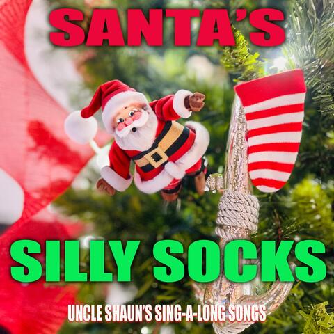 Santa's Silly Socks