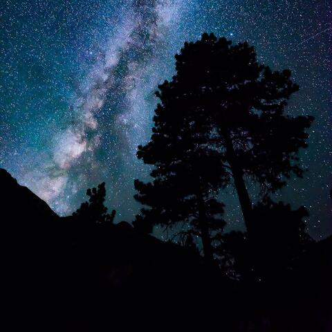 Starlight Hike