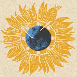 Cupim no Coqueiro (Erivaldo Gomes)