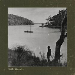 Little Wonder