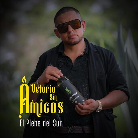 El Plebe de el Sur