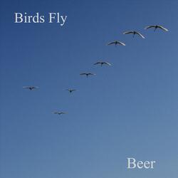 Birds Fly (feat. Michiel Buursen)