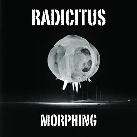 Morphing