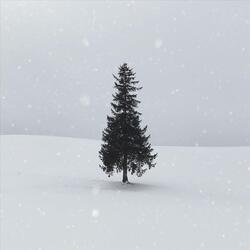 Alone on Christmas