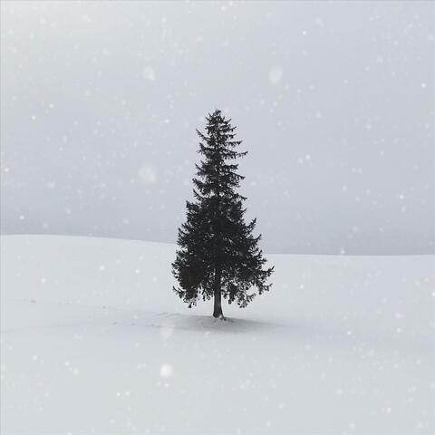 Alone on Christmas