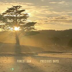 Precious Days