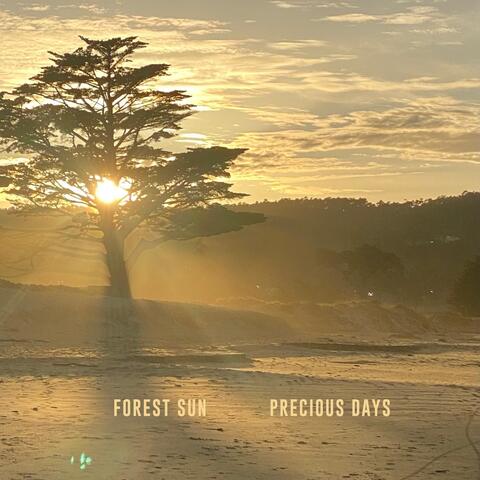 Precious Days