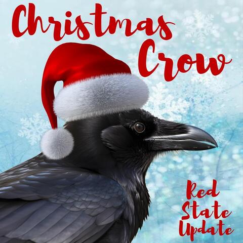 Christmas Crow