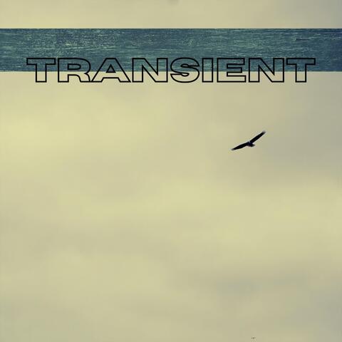 Transient