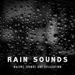 Rain on Tin Roof and Thunder at Night