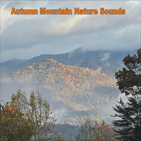Autumn Mountain Nature Sounds