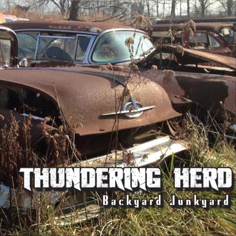 Backyard Junkyard