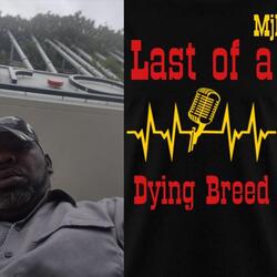 Let Your Light Shine