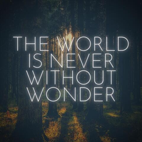 The World Is Never Without Wonder
