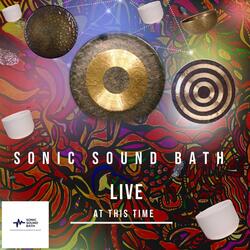 Life Force Energy of Gaia (Live)