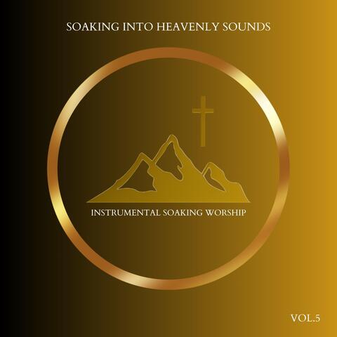 Soaking into Heavenly Sounds, Vol. 5