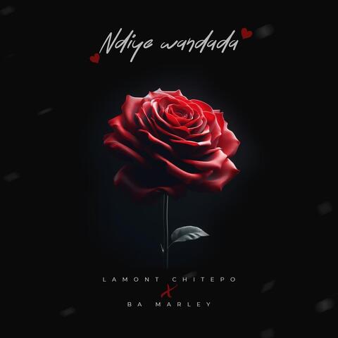 Ndiye Wandada